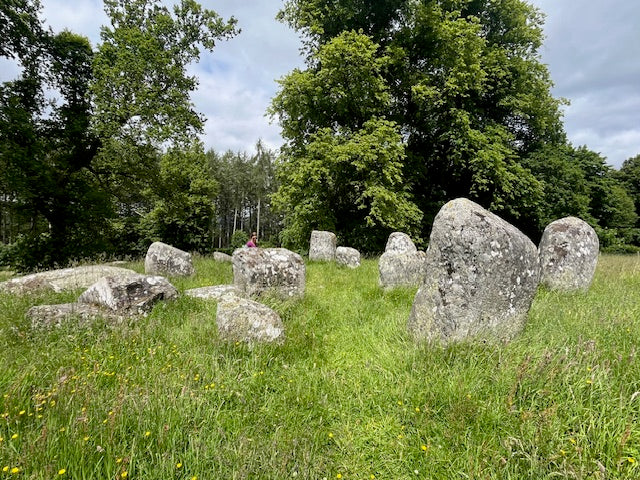 Wild Rose Essence 30ml