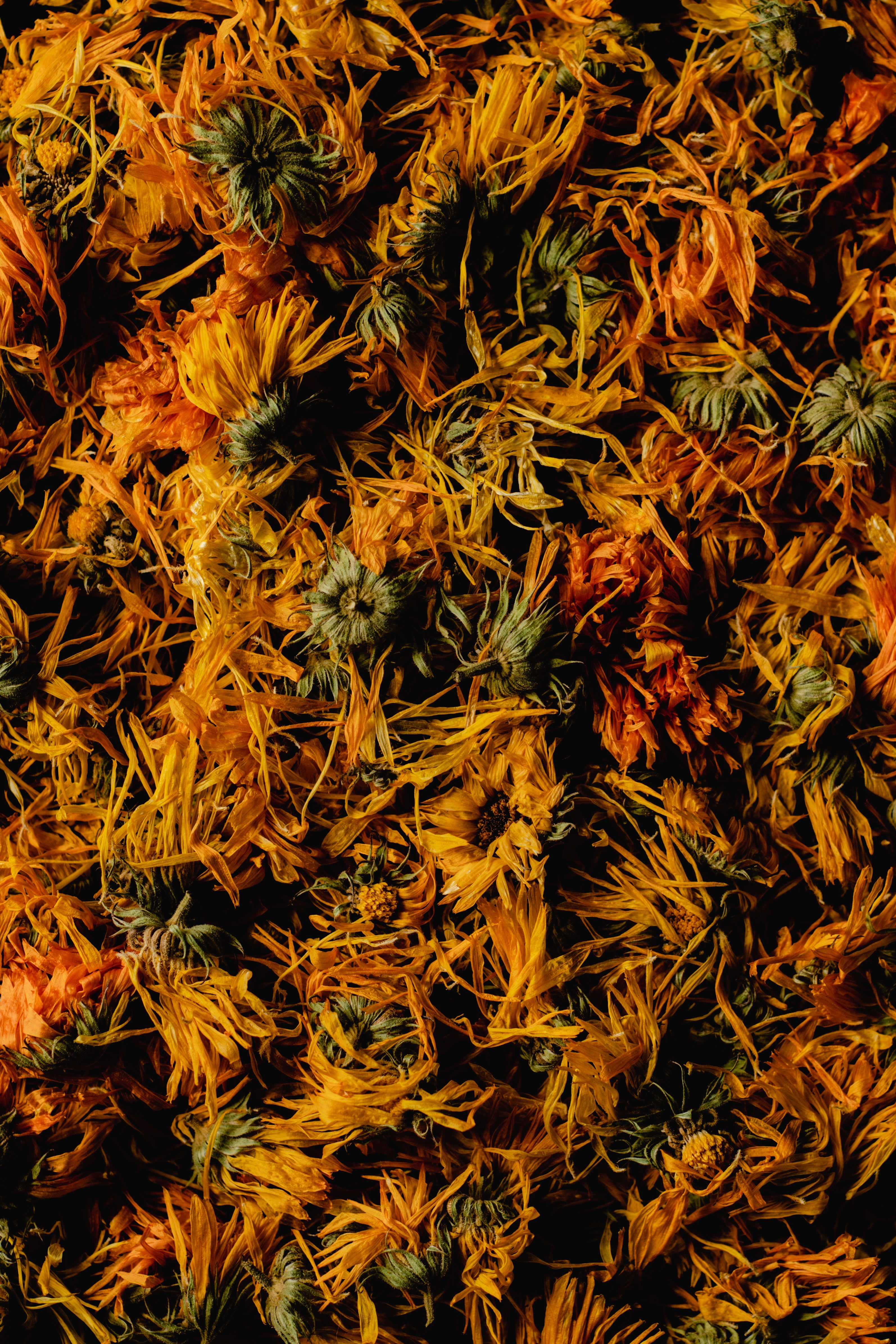 Calendula Flowers Dried 25/50/100 grams