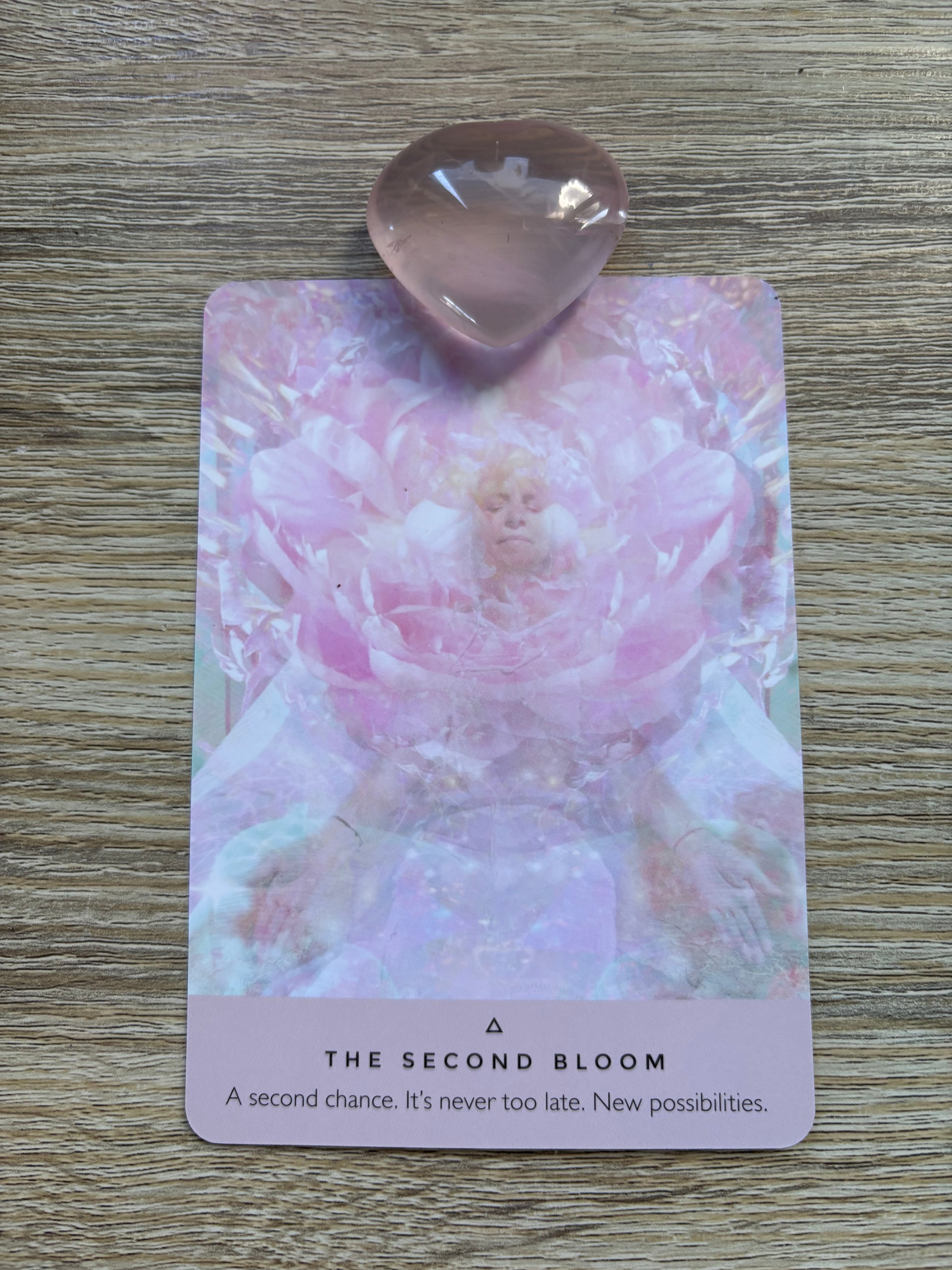 Face and Body Cream:  Geranium, Lavender and Patchouli   120g / 175g