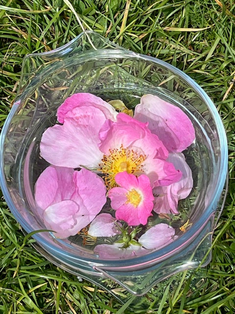 Organic Infused Rose Balm with Wildflower Walker's Wild Rose Essence 50grams