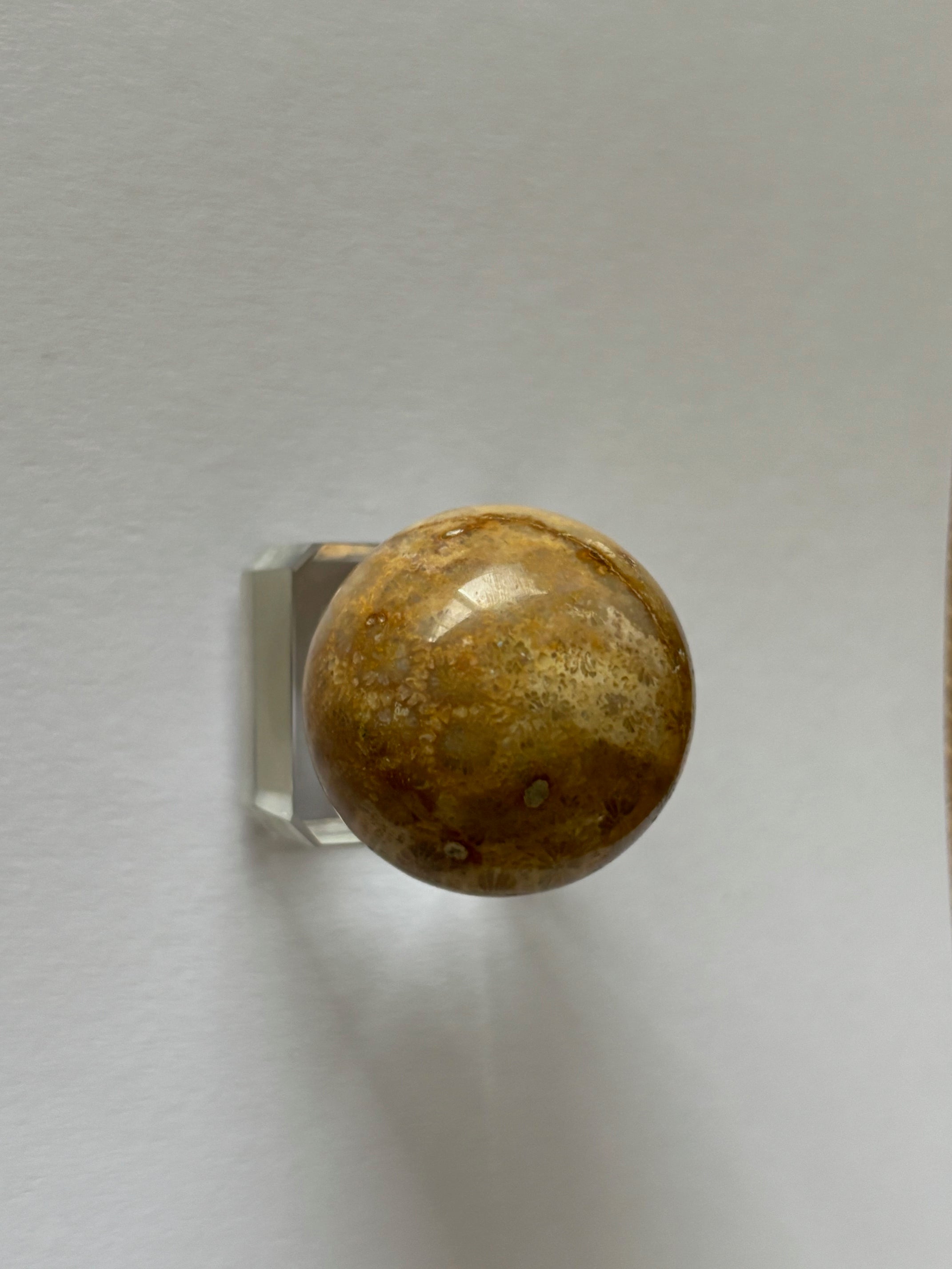 Coral  Fossil Sphere & Stand