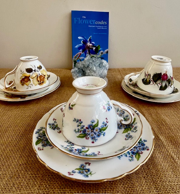 Tea Ceremony with the Healing Herbal Codes