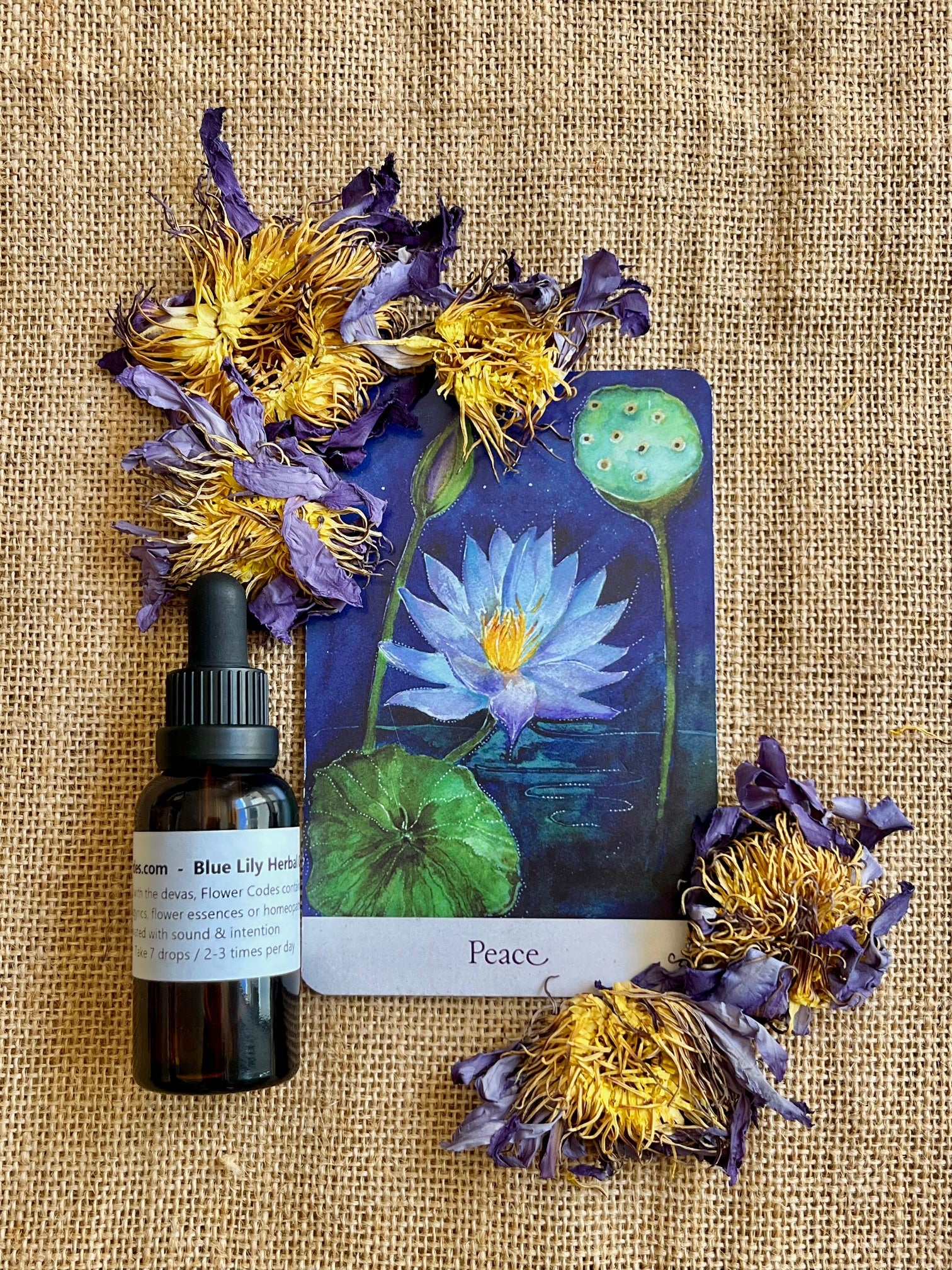 Self Love with Blue Lily Flower Code